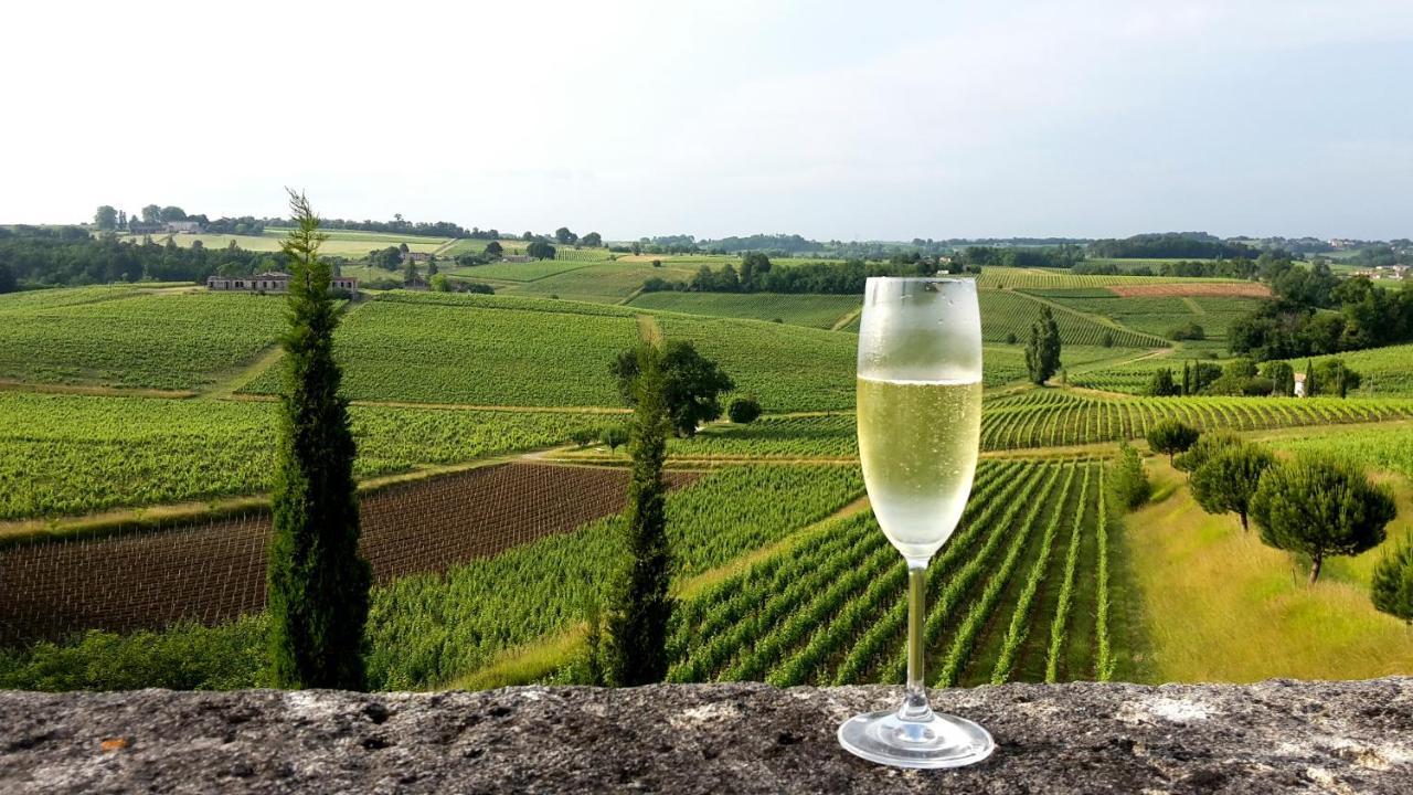 Chateau De La Grave Bourg-sur-Gironde Εξωτερικό φωτογραφία