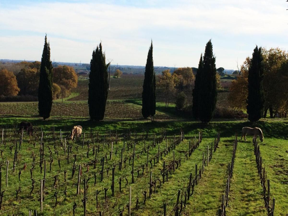 Chateau De La Grave Bourg-sur-Gironde Εξωτερικό φωτογραφία